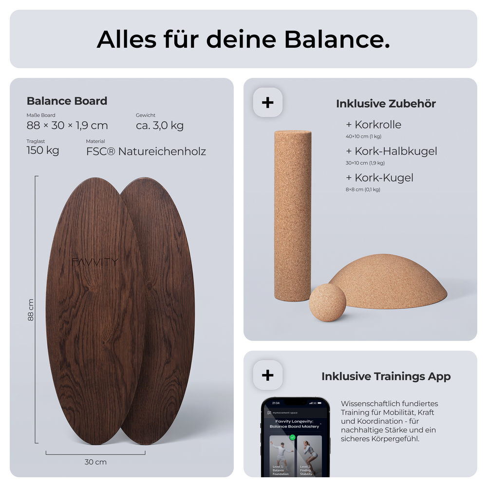 Balance Board Komplett-Set