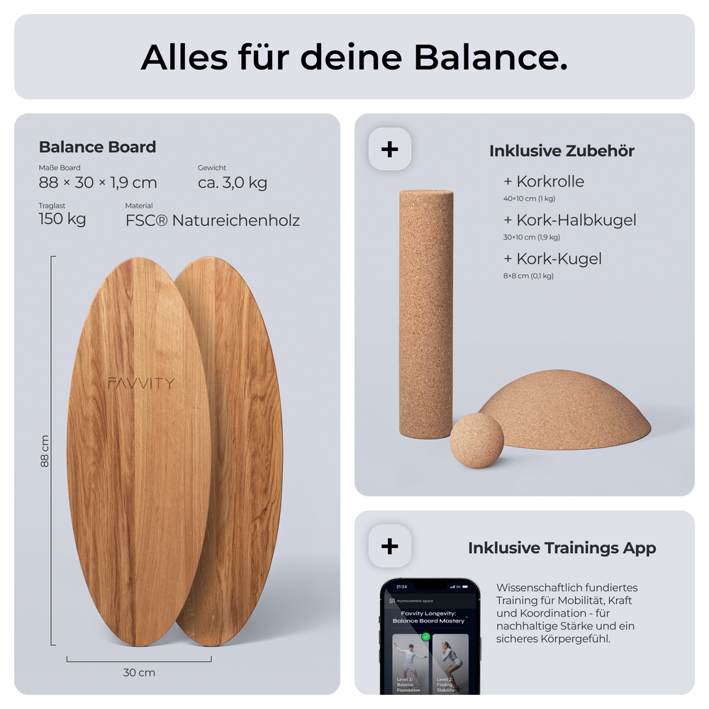 Balance Board Komplett-Set