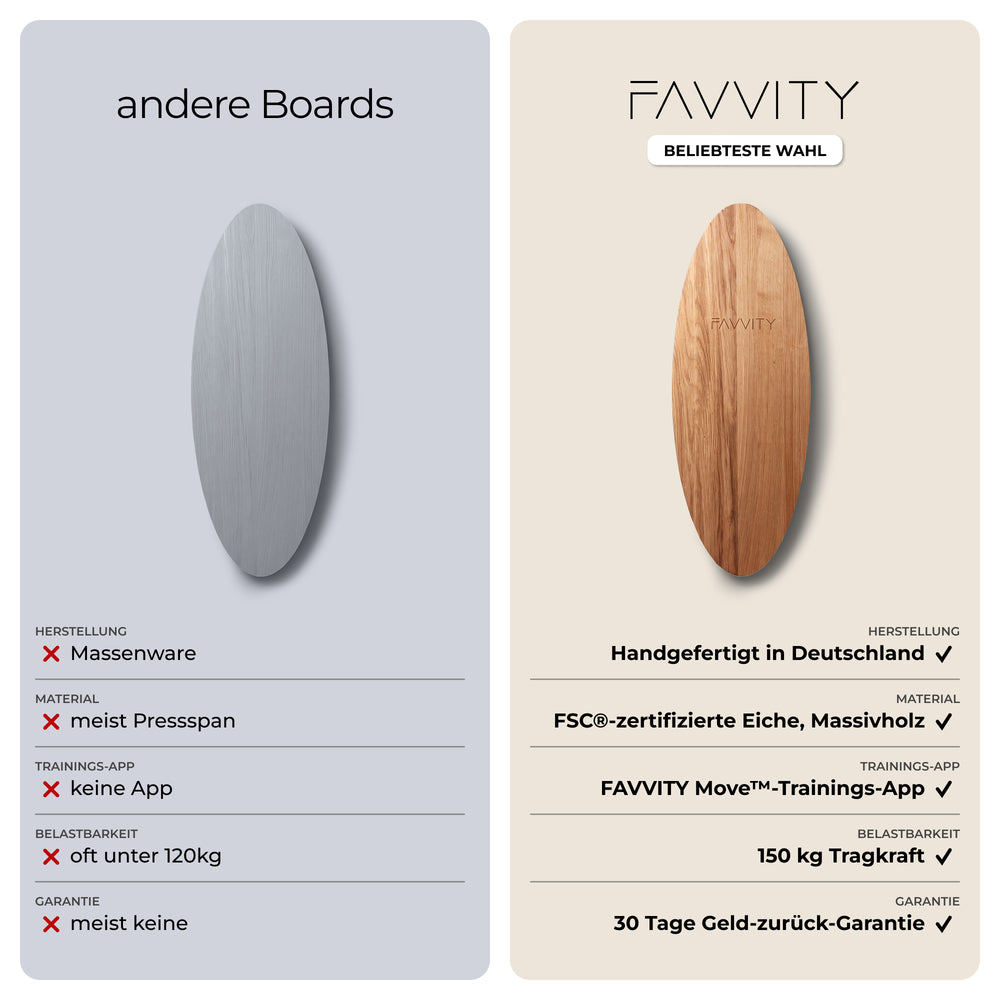 Balance Board Komplett-Set