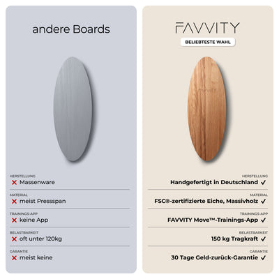Balance Board Komplett-Set