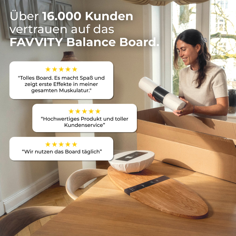 Balance Board Komplett-Set